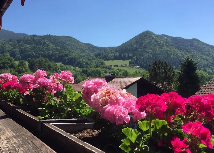Ferienwohnungen Gaestehaus Sonnenkreis